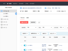 花2000元 投放头条广告得来的经验