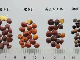 让人这辈子生不如死的药品套路