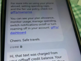 为什么要办个国外手机号?